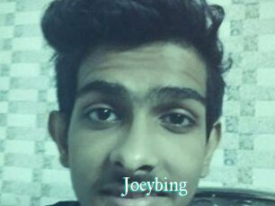 Joeybing