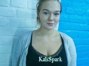 KaliSpark