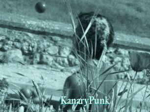 KanaryPunk