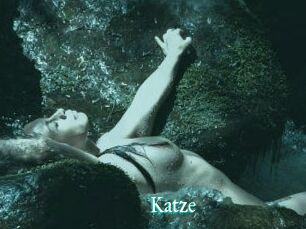 Katze