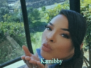 Kamibby