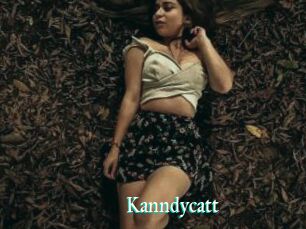 Kanndycatt