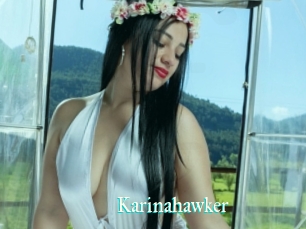 Karinahawker