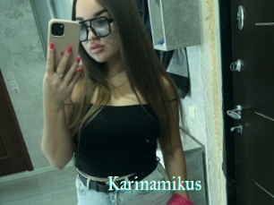 Karinamikus