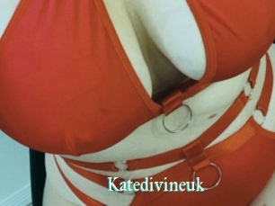 Katedivineuk
