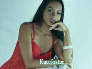 Kattfoster