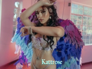 Kattrose