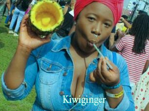 Kiwiginger