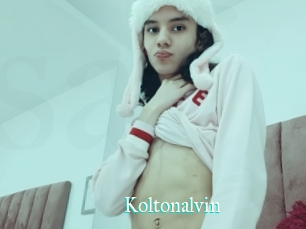 Koltonalvin