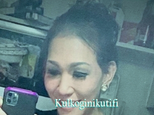 Kulkoginikutifi