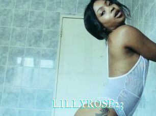 LILLYROSE23