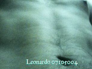 Leonardo-07105004
