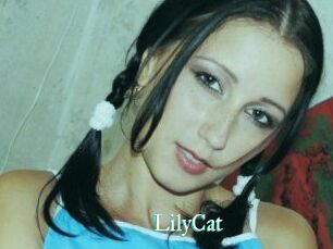 Lily_Cat_