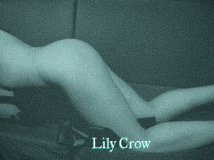 Lily_Crow