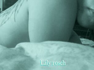 Lily_roseh