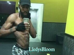 Lledys_Bloom