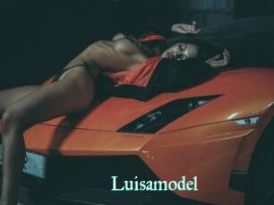 Luisamodel
