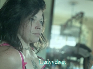 Ladyvelvet