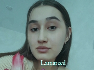 Lamareed