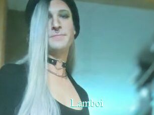 Lamboi