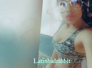 Latinbadrabbit
