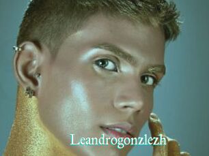 Leandrogonzlezh