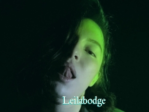 Leilabodge