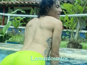 Leonardosantos