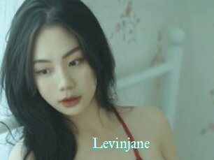 Levinjane