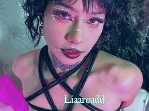 Liaaroadd
