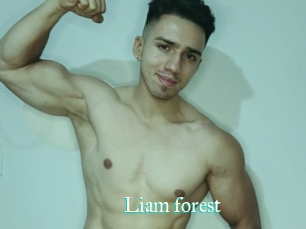 Liam_forest