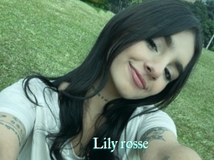 Lily_rosse