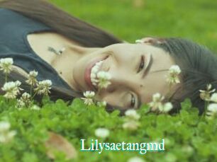 Lilysaetangmd