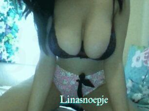 Linasnoepje