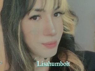 Lisahumbolt