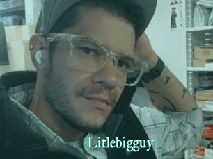 Litlebigguy