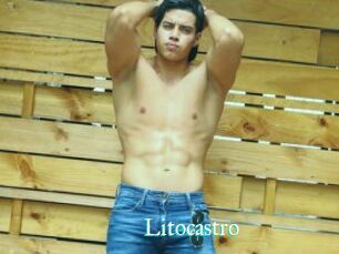 Litocastro