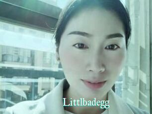 Littlbadegg