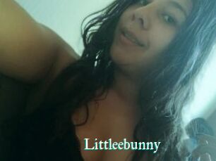 Littleebunny