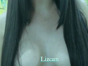 Lizcam