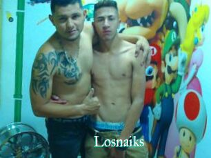 Losnaiks
