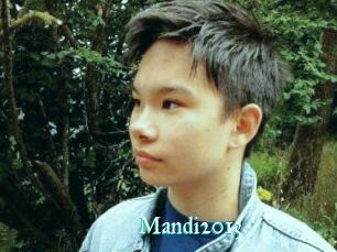 Mandi2013