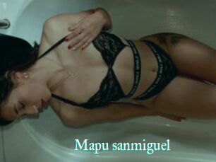Mapu_sanmiguel