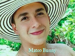 Mateo_Bunny