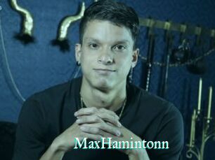 MaxHamintonn