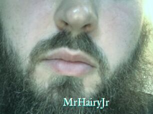 MrHairyJr