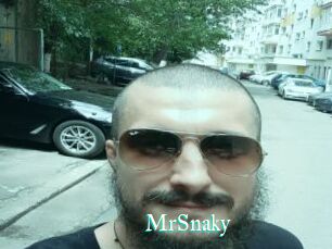 MrSnaky