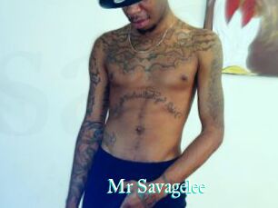 Mr_Savagelee