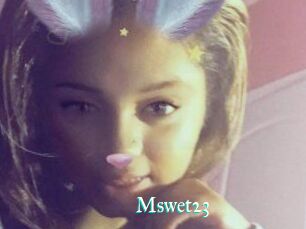 Mswet23