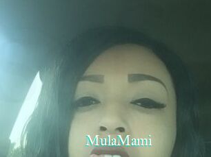 MulaMami